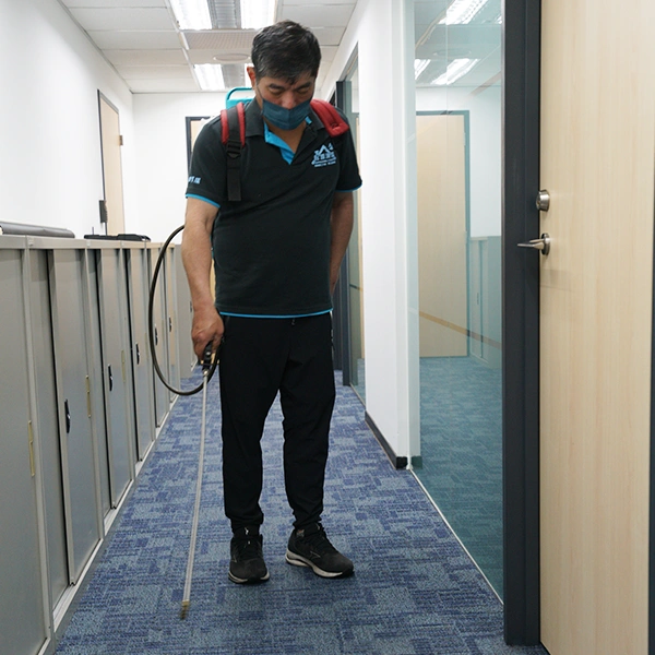 企業客戶地毯清洗前，進行預噴清潔劑等前置作業